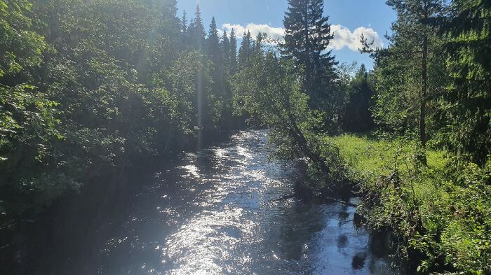 I Have Many, But This Is My Favorite From This Year. (Vemdalen, Sweden)