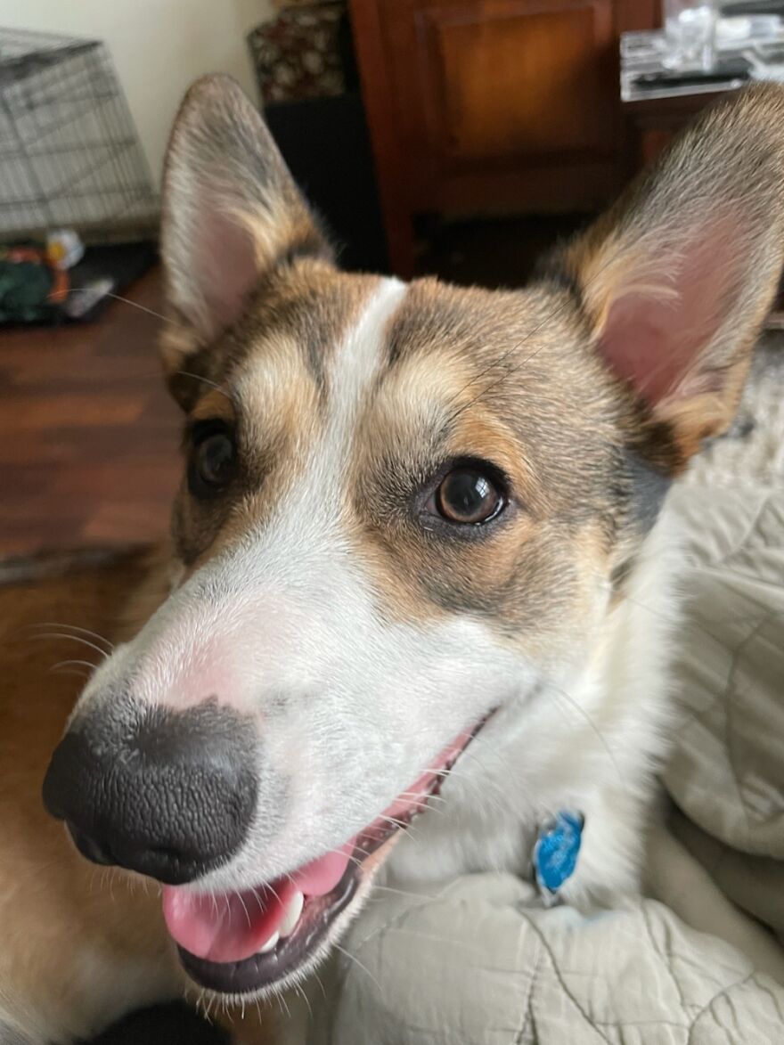 Miller Waiting For A Fry