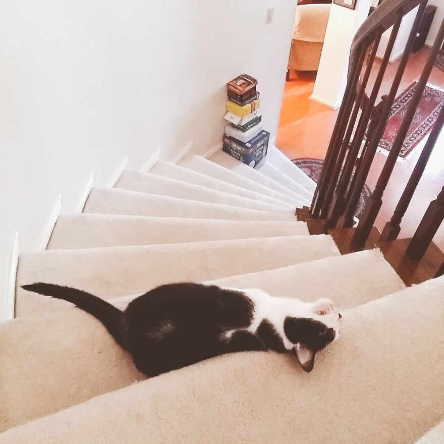 My Bonnie Lies Over The Staircase 🎶