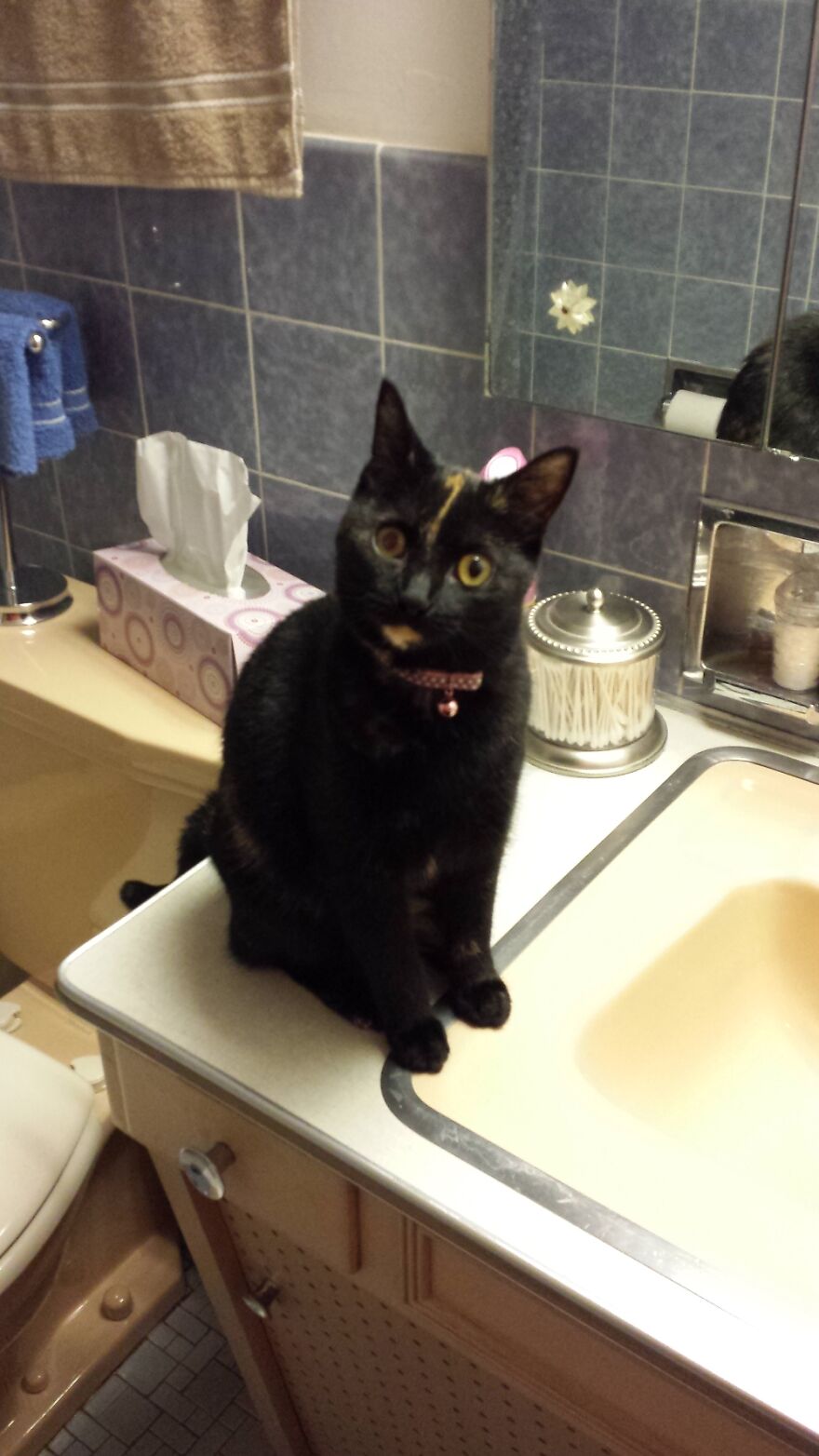 This Is Her 'And How Do You Feel About That' Look.