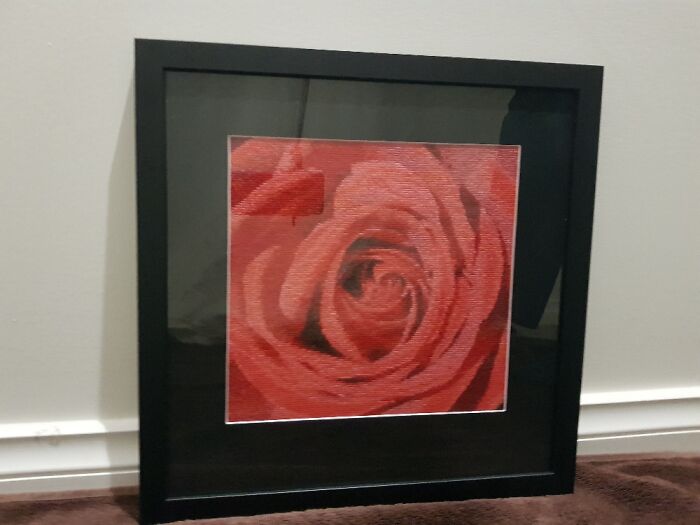 I Take Photos Of Flowers And Then Cross-Stitch Them