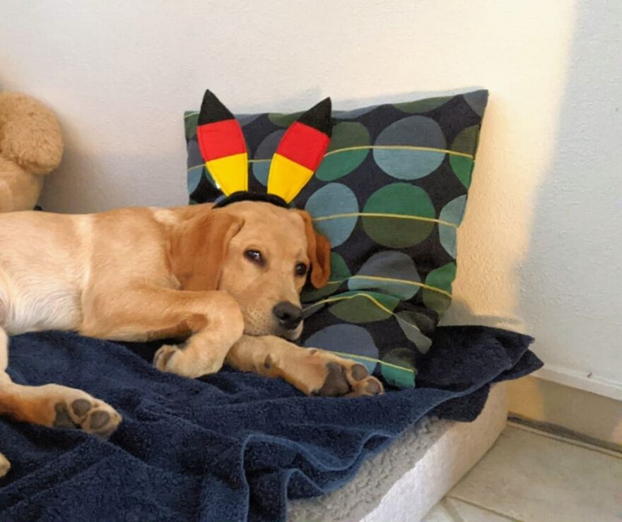 Cant Watch This Match Anymore!