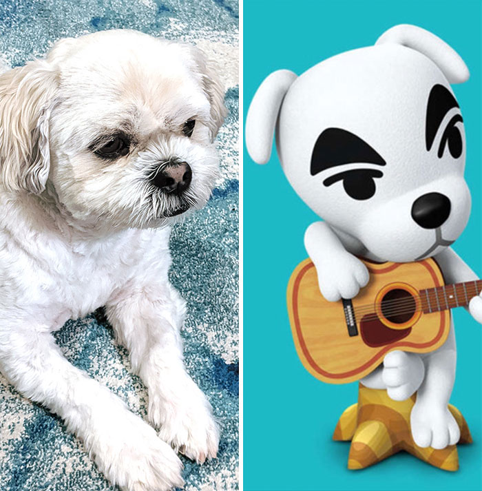 If You Switched These Pics And Couldn't Tell The Difference, I Wouldn't Be Cross, I'd Just Be Like... K.K