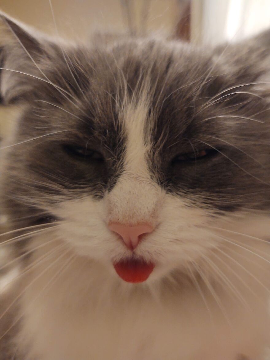 Sassy Mama, You're Tongue Is Out...