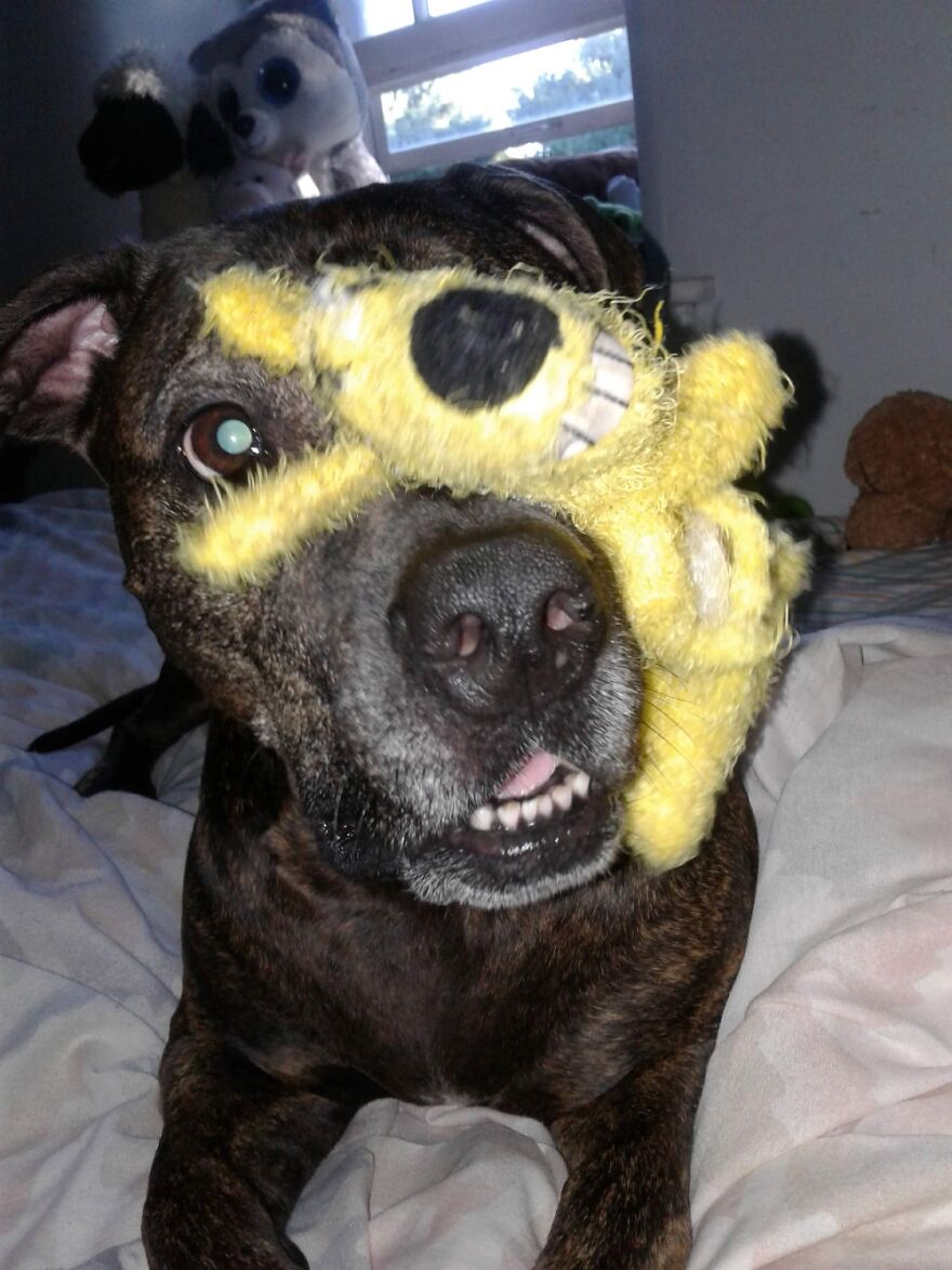 What? Is There Something On My Face Or Something?