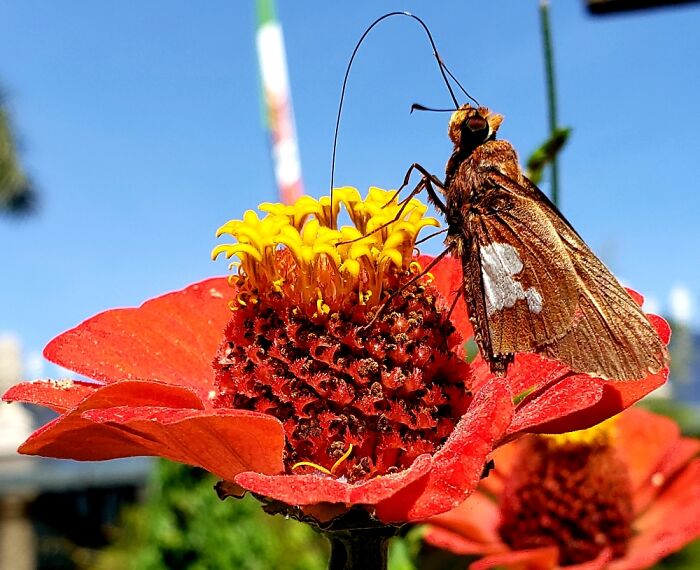 Puerto Vallarta Mx Eco Reserve