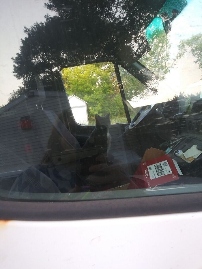 The Animal Isnt Unique, Per Say. Where She Was Is Though Lol