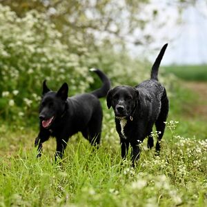 stephaniejervis avatar