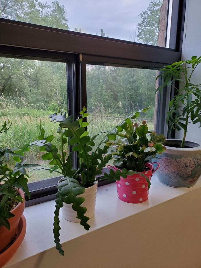 My Office Collection