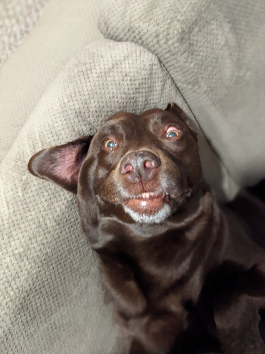 She Had No Idea What Was Going On.