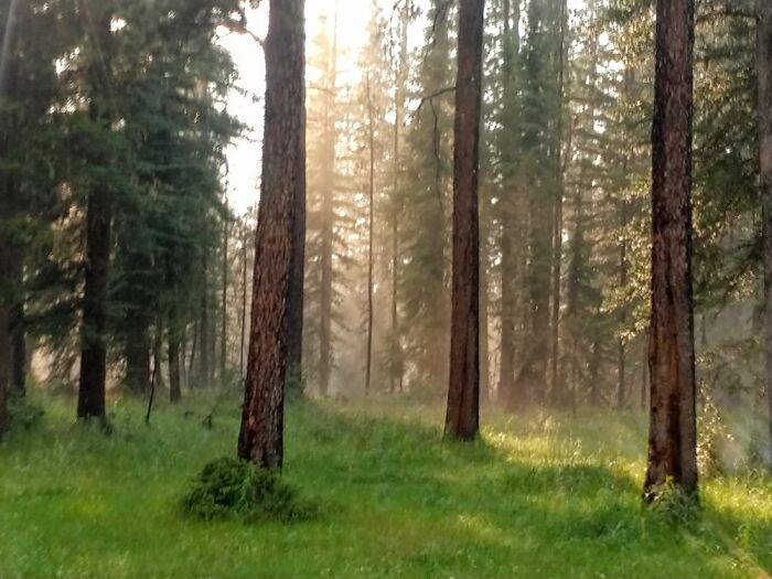 Right After A Hail Storm Camping. Worth The View For Sure