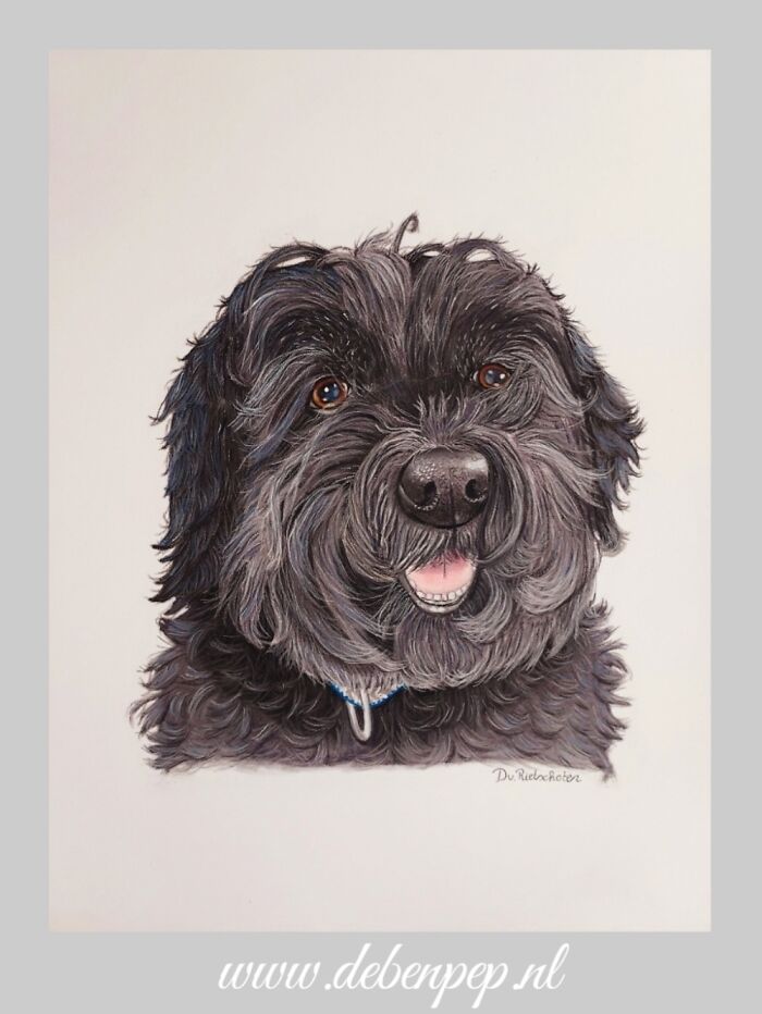 My 14 Year Old Dog Pepsi 😄. Pastel Pencils On Pastel Mat