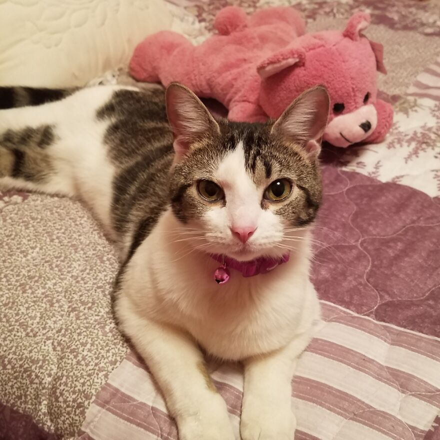 The 'I Want To See Your Manager' Look....