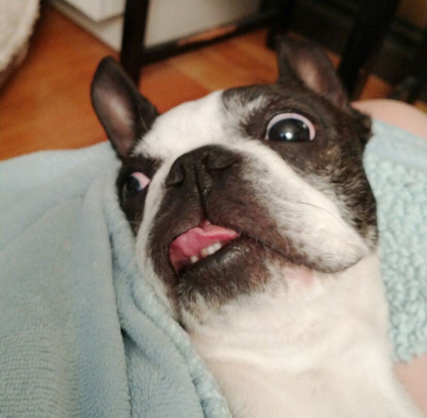 Did Sumbody Say Peanutt Butterz?