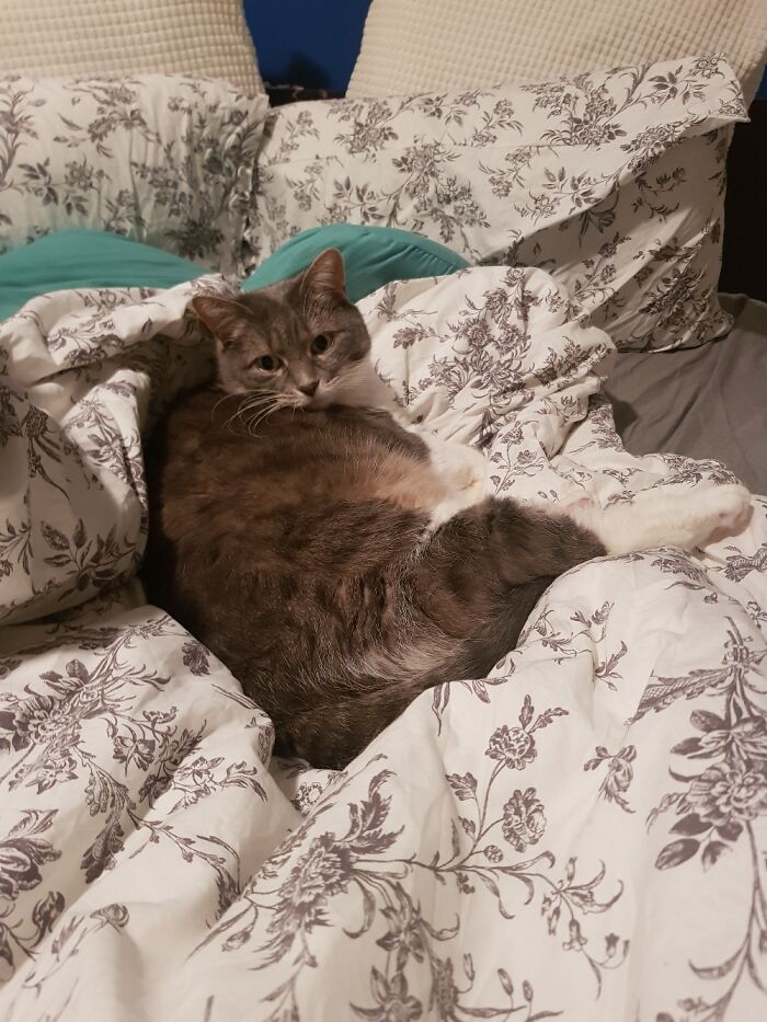 This Is Violet And She Is My Life.