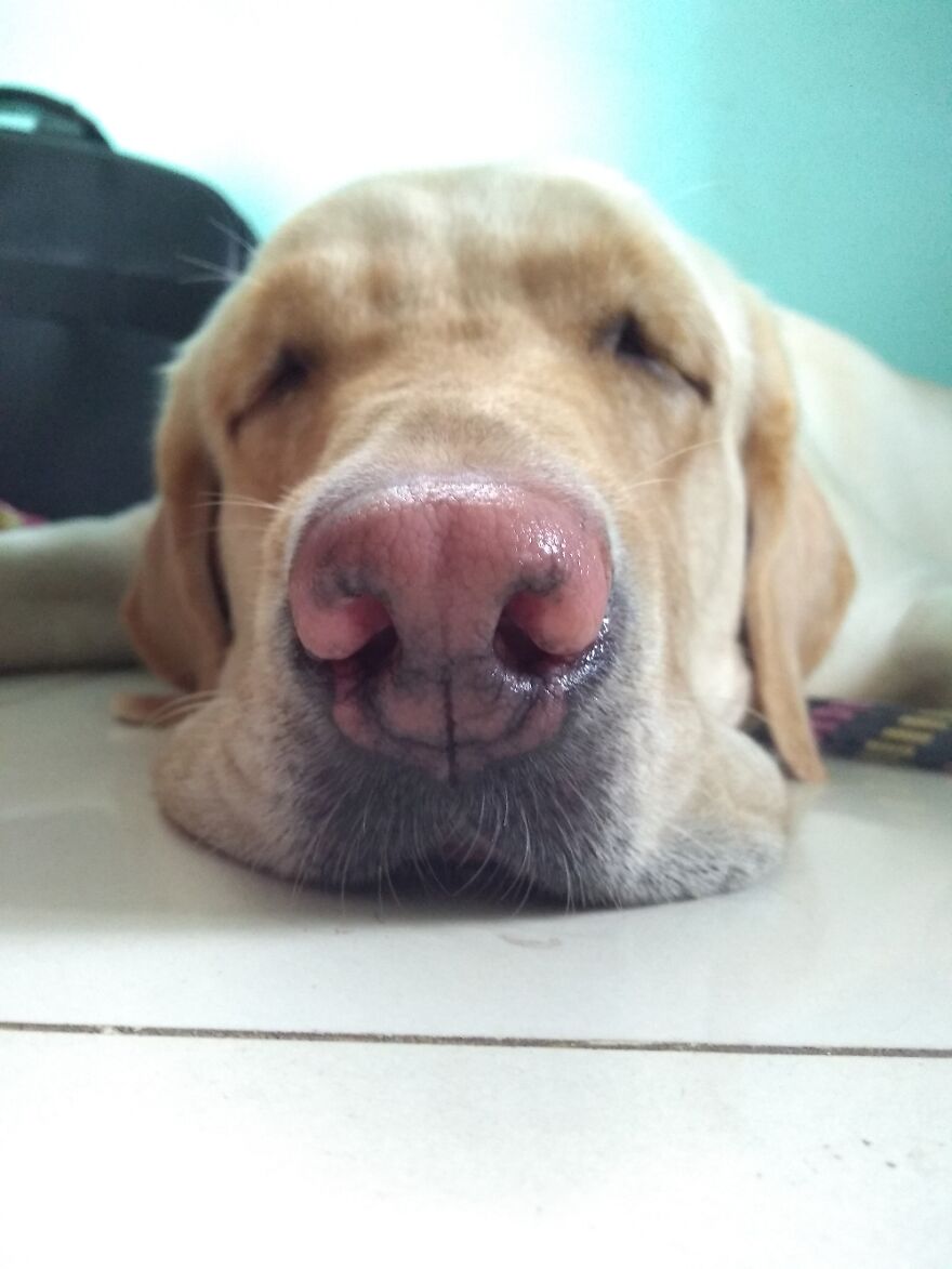 Bruno Spreading Sleep-Y Vibes