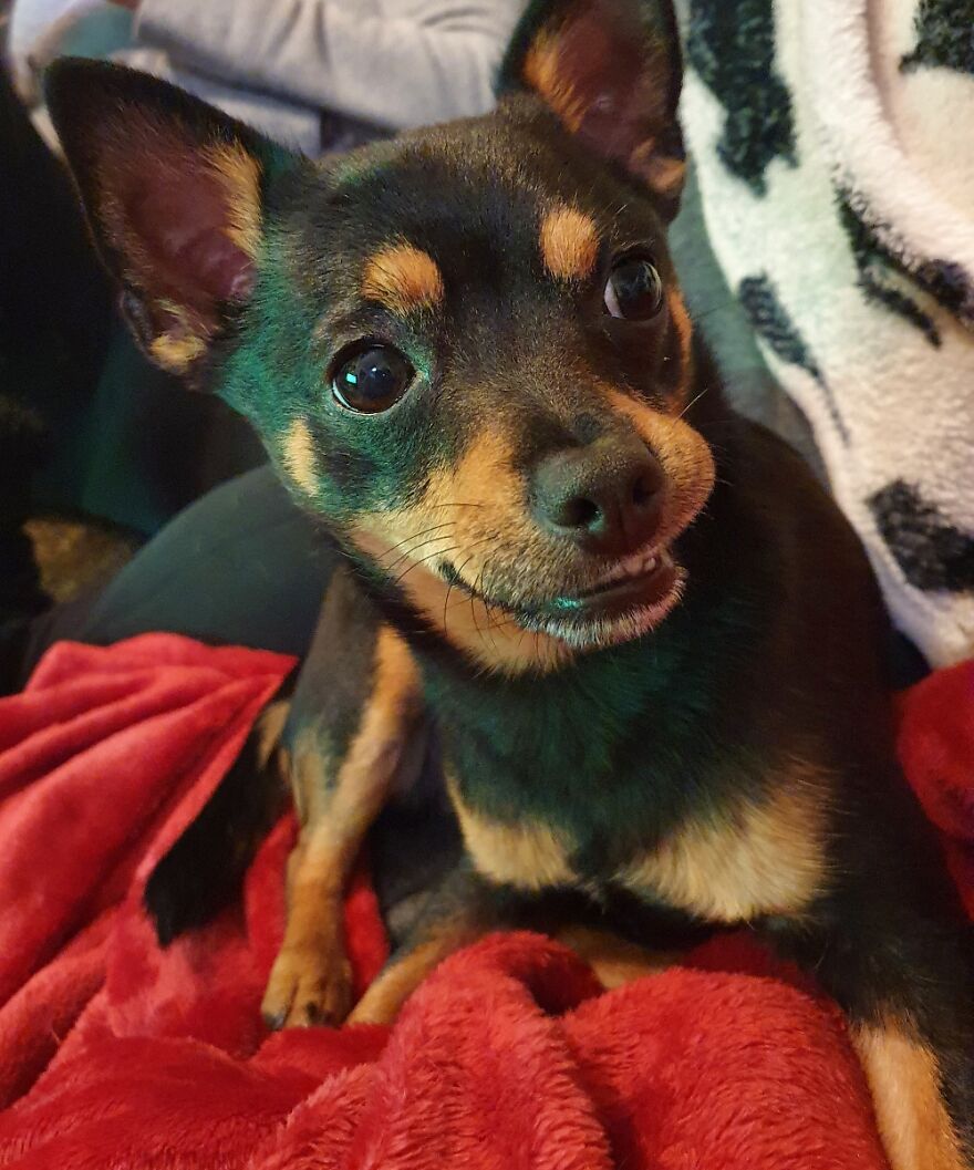 His Little Side-Grin