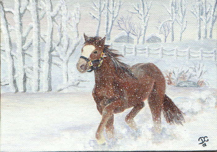 Horse In Winter