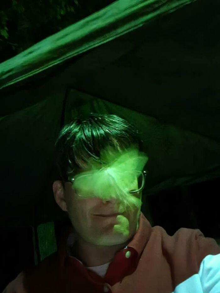 That Is Exactly What They Look Like!