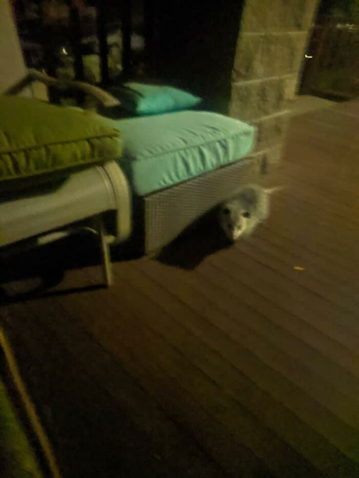 There Are Three Things You Need To Know