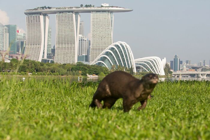 I Was Supposed To Submit This Photo To The Beautiful Architecture Photography Group, But It Was Rejected. So Here I Am