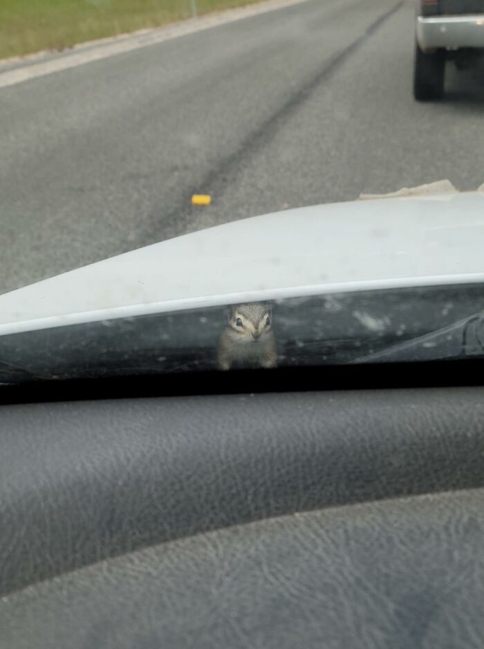 Me, Minding My Own Business. Stuck In Road Construction Traffic. Um, Hello!