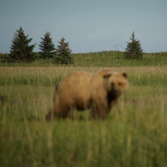 How Do You Like My Impressive Focus? Glad I Didn’t Miss That!