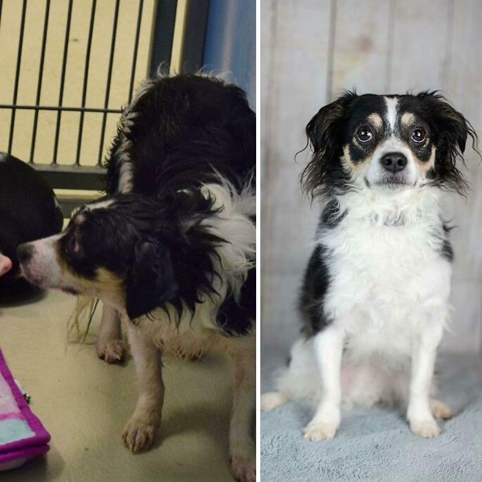 Leonard Was Feral When We Found Him, But Now He's A Perfectly Weird Gentleman