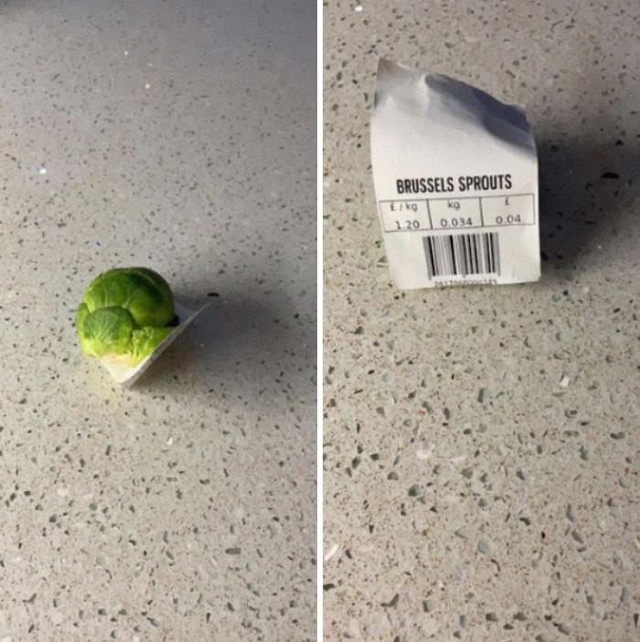 Ordered One Brussel Sprout Instead Of 1kg! Need To Cut It Into Four To Go Round!