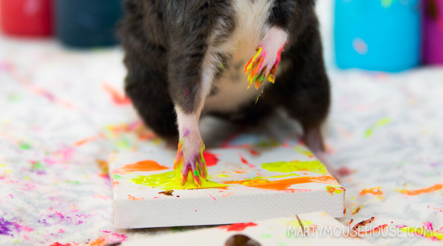 Cosmo's Art In Progress