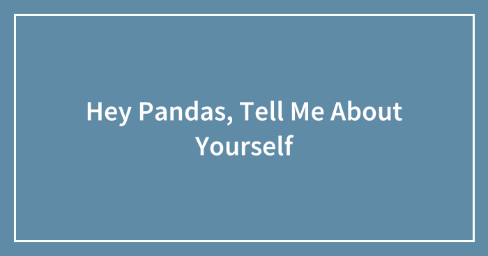 Hey Pandas, Tell Me About Yourself (Closed)