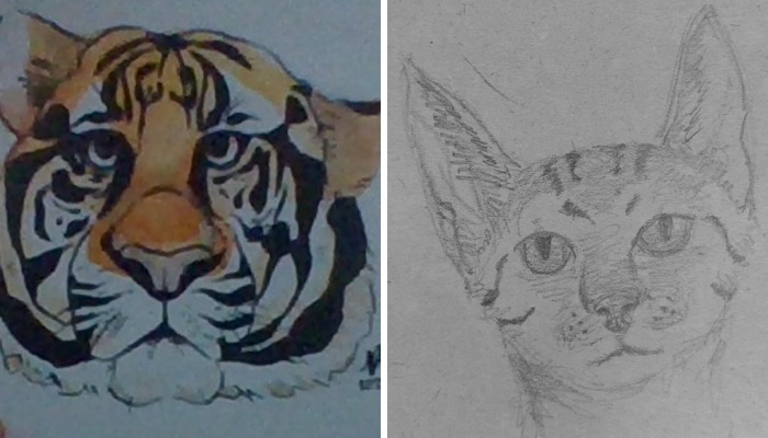 Hey Pandas, Paint Or Draw Your Favorite Animal As Realistically As You Can (Closed)