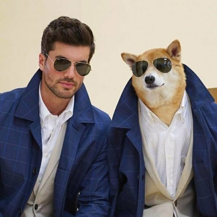 Hey Pandas, Post The Funniest Thing Ever (Closed)