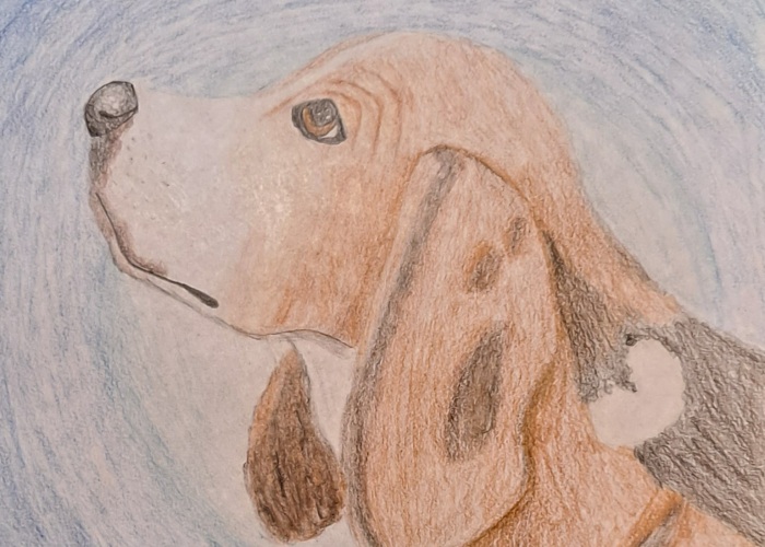 Hey Pandas, Show Your Best Drawing And Tell Your Age (Closed)