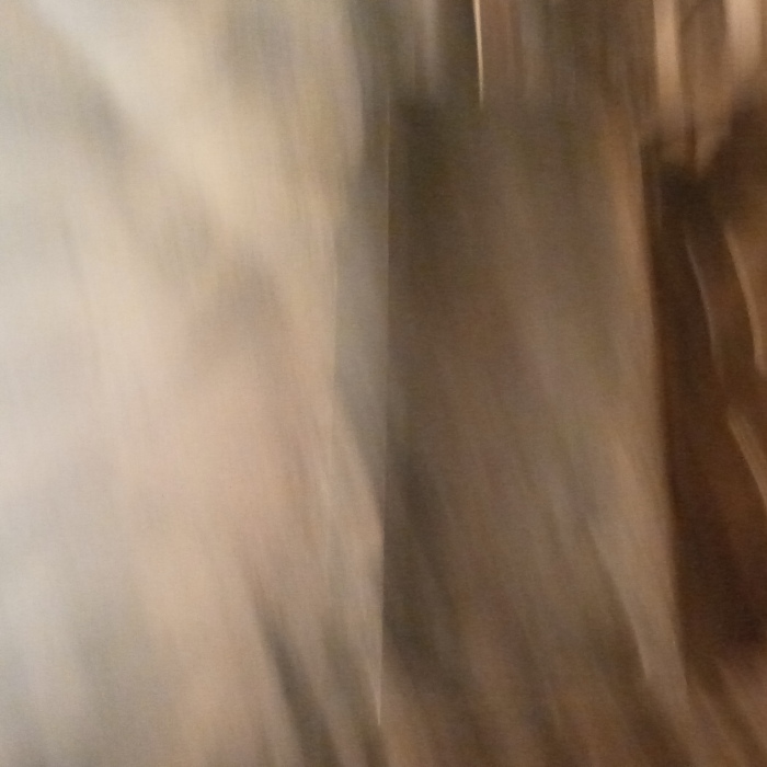 Hey Pandas, What Is The Worst Photo You’ve Ever Taken?