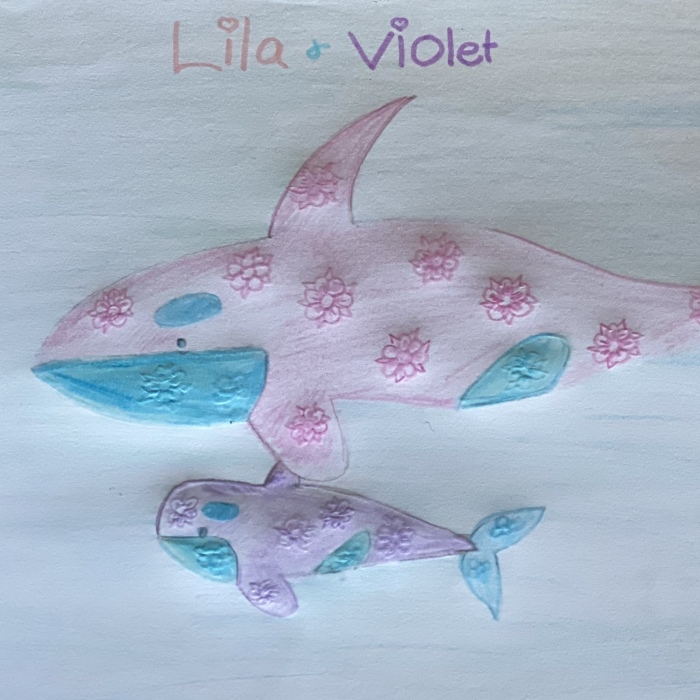 Hey Pandas, Draw A Killer Whale