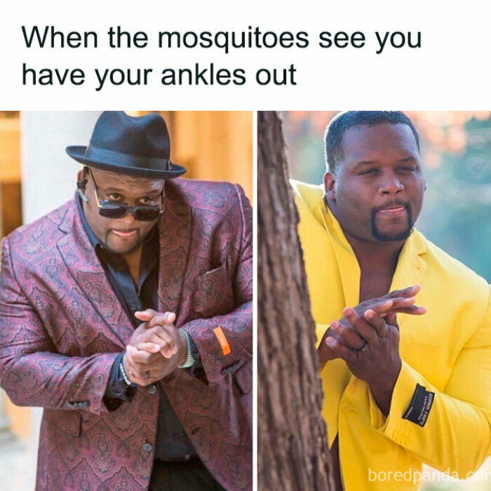 Hey Pandas, You’ve Just Been Arrested, And Whether You’re Freed Or Not Depends On The Last Meme You’ve Saved On Your Phone. How’s It Looking? (Closed)