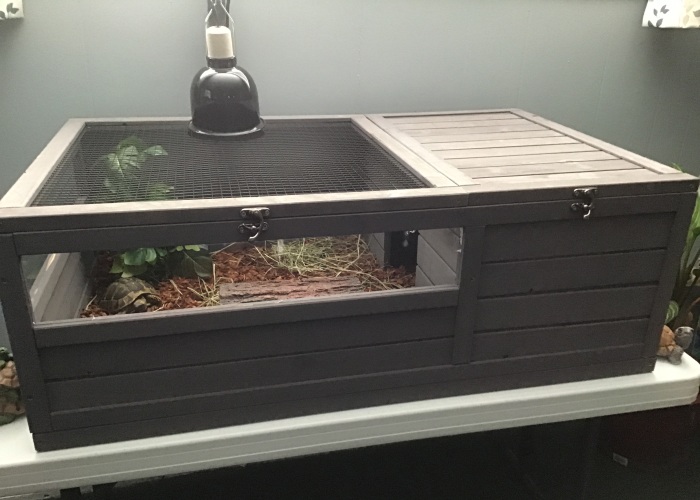 Hey Pandas, Post The Coolest Animal Enclosure You’ve Ever Seen (Closed)