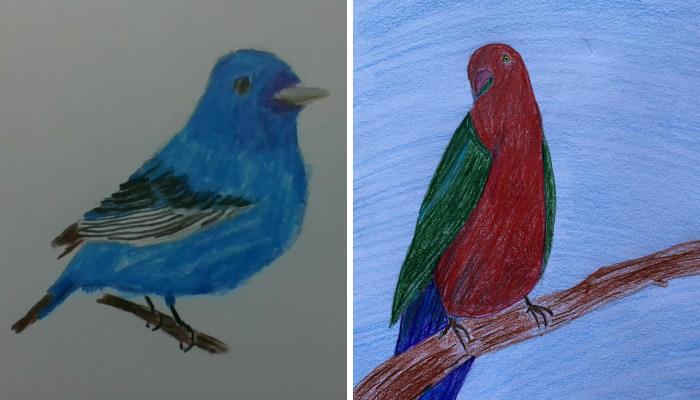 Hey Pandas, Draw A Bird And Post The Results (Closed)