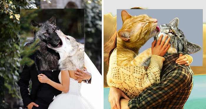 Here Are 50 Crazy Photo Collages By Turkish Artist