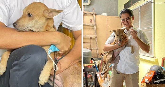 This Family Of Five Got Saved By A Dog Who Woke Them Up During A Fire