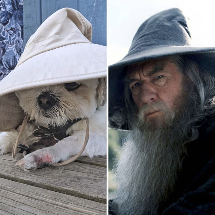 Grandma Dropped Her Hat On Me, And Now I'm Looking For Someone To Share In An Adventure