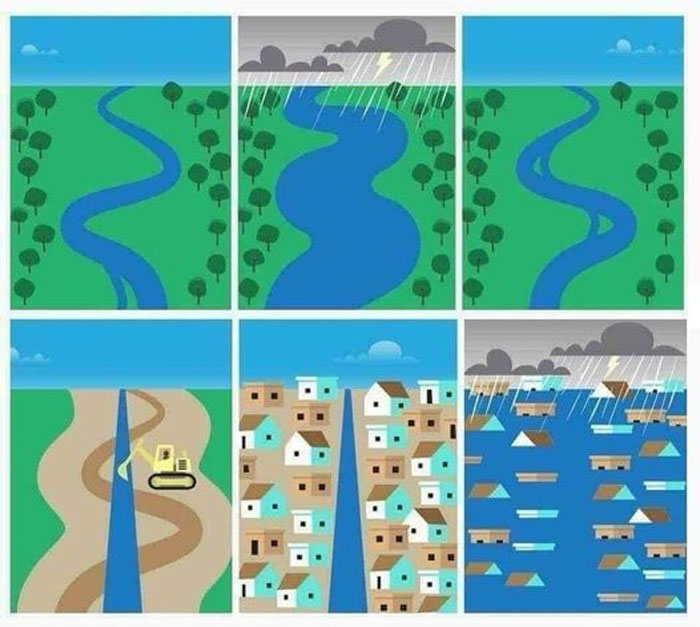 Edgy-Environmentalist-Memes