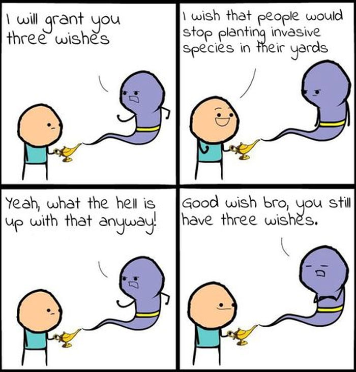 Edgy-Environmentalist-Memes