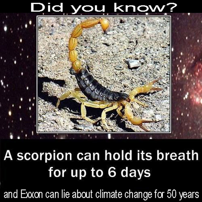 Edgy-Environmentalist-Memes