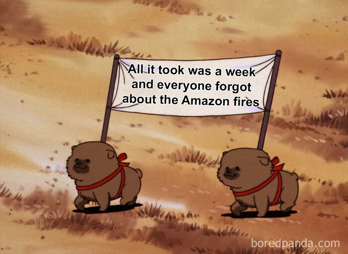 Edgy-Environmentalist-Memes