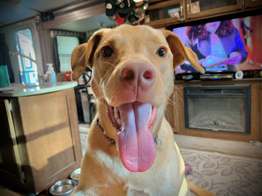 Elloree Is Always So Derpy And Happy!