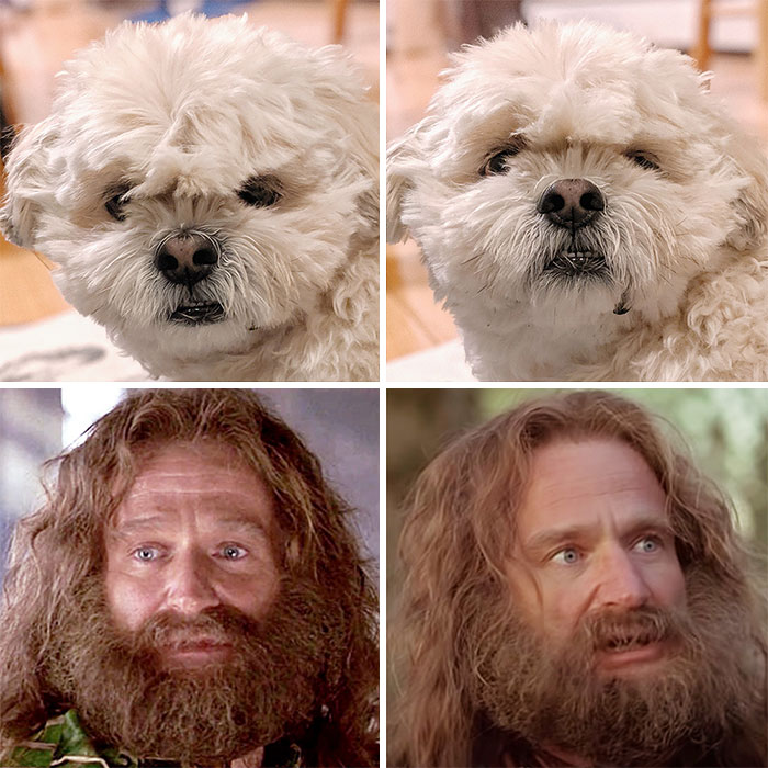 ... What Year Is It?