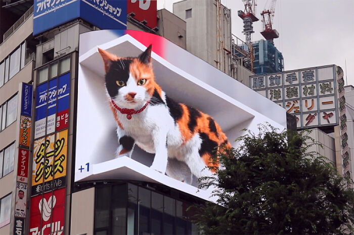 Giant Hyper-Realistic 3D Cat Billboard Appears In Tokyo, Mesmerizes The Passersby Giant Hyper-Realistic 3D Cat Billboard Appears In Tokyo, Mesmerizes The Passersby