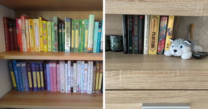Hey Pandas, Show Me A Picture Of Your Bookshelves (Closed)